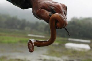 nam mo thay lương la so may