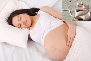Bà bầu mơ thấy rắn đánh con gì ?