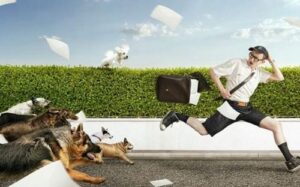 nam mo thay cho duoi