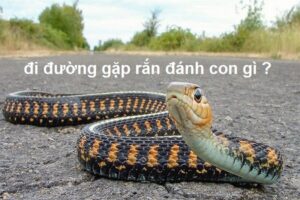 đi đường gặp rắn đánh con gì