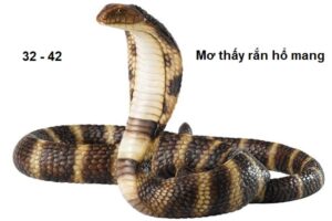 Mơ thấy rắn hổ mang đánh con gì ?